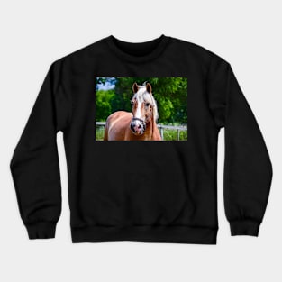 Horse Portrait Crewneck Sweatshirt